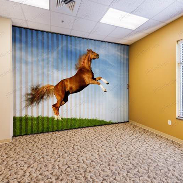 پارتیشن آکاردئونی فتودراپه مدل f0028