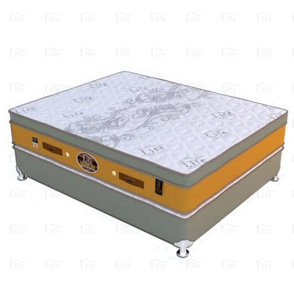 تشک لایف مدل گلدن لایف