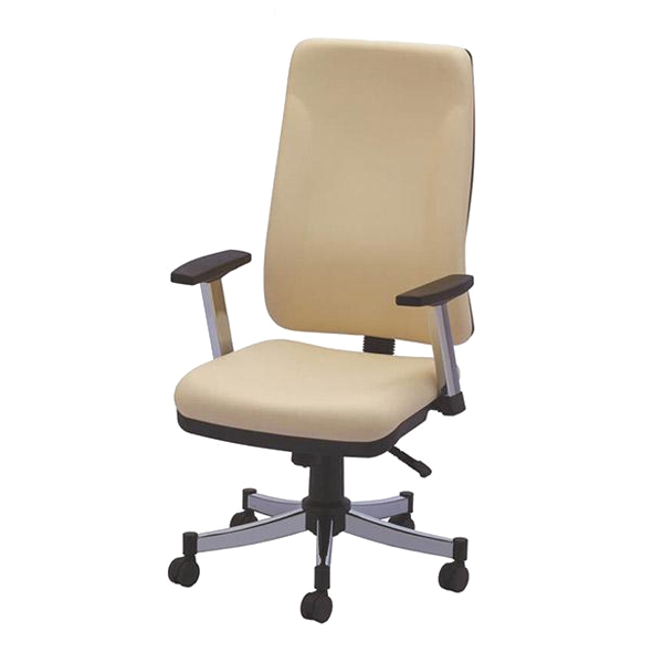 صندلی کارمندی رایانه صنعت مدل ماندا K919 به رنگ کرم می باشد و محصول شرکت رایانه صنعت می باشد.