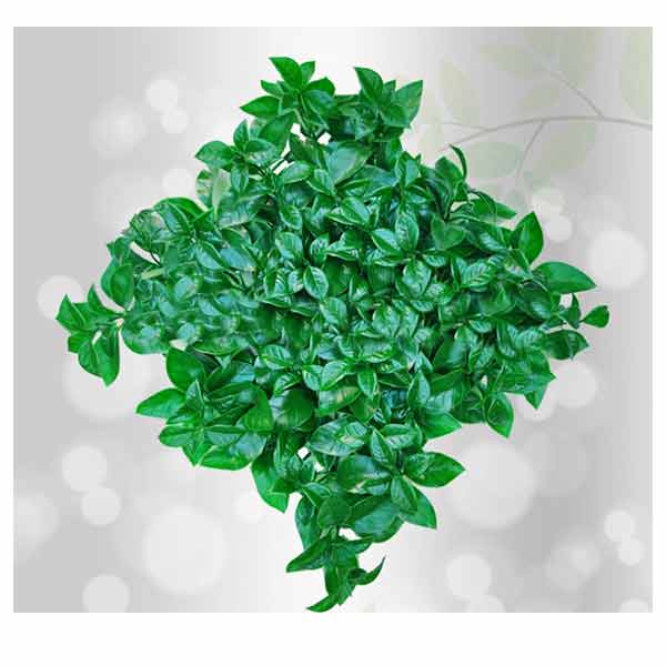 چمن مصنوعی دنیای چمن مدل برگ پرتقالی 2