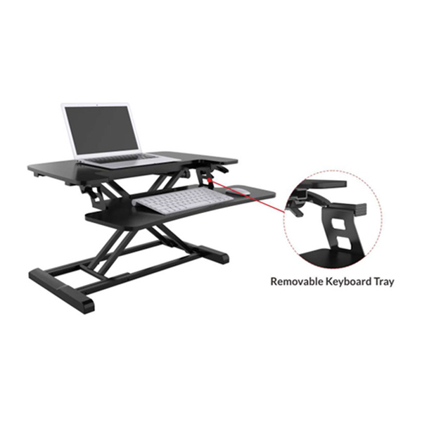 ارگو مدل WTB009 امکان تغییر از حالت نشسته به ایستاده را دارد.