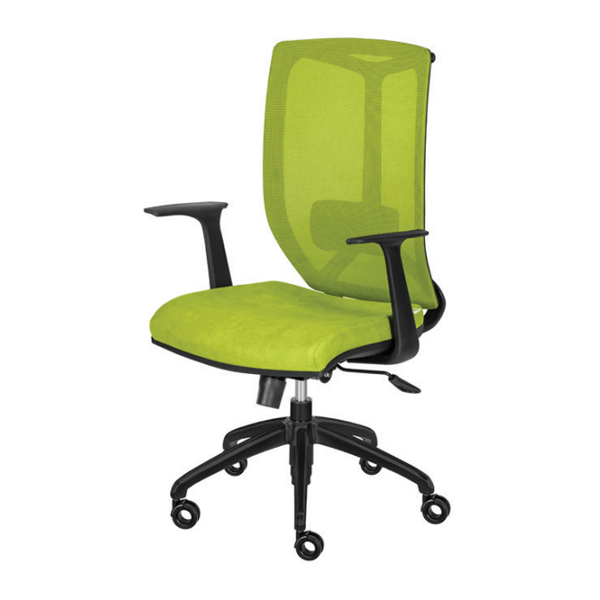 صندلی کارشناسی ENZO داتیس مدل XE640WFدارای قابلیت تنظیم گودی کمر و فریم به رنگ مشکی می باشد. این محصول دارای روکش سبز رنگ است.