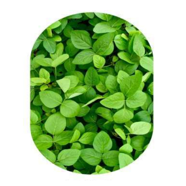 فرشینه نگین ترمه مدل B34