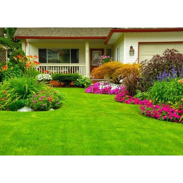جایگزینهای چمن در فضای سبز