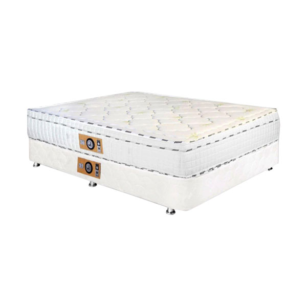 خرید و قیمت تشک دونفره تاج ایساتیس مدل دکتر تاج پددار