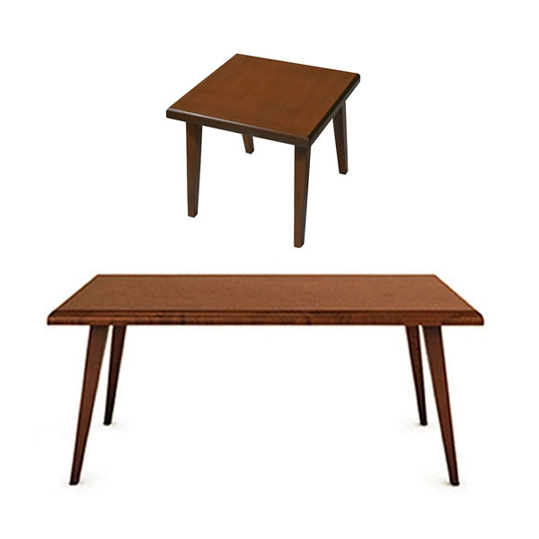 میز جلو مبلی و عسلی آرام گستر مدل راسپینا کد C500