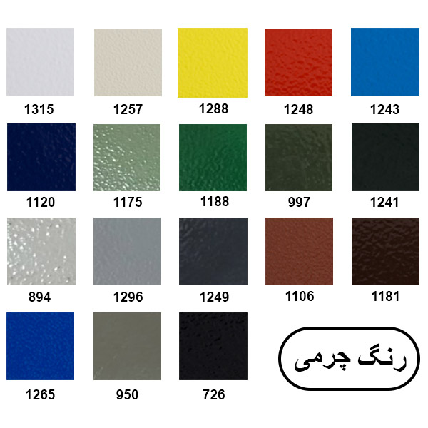 کالیته چرمی DS