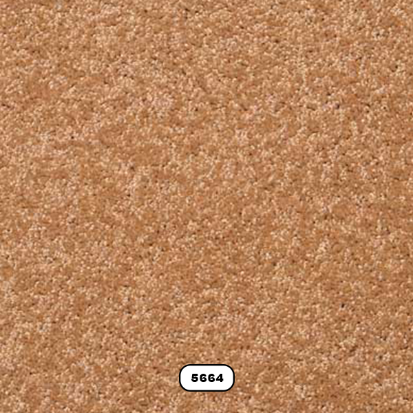 موکت پالاز مدل یاسمن 5664