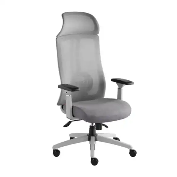 صندلی مدیریتی راشن مدل M960T